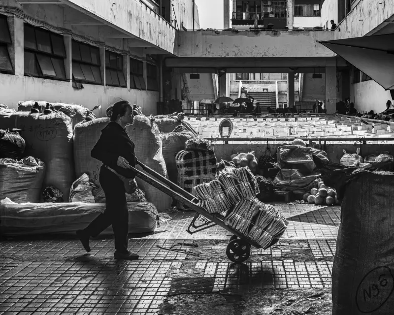 汽车配件选购指南:汽修厂常用保养用品型号匹配方案正文配图 1